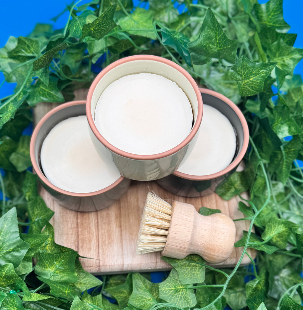 Solid Dish Soap Refill